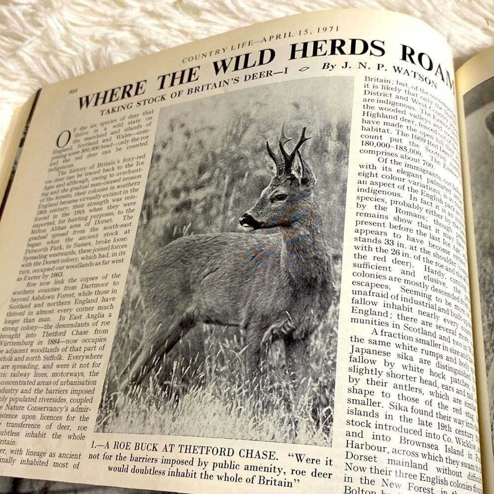 COUNTRY LIFE MAGAZINE VINTAGE WILD LIFE NUMBER ENGLAND April 1971